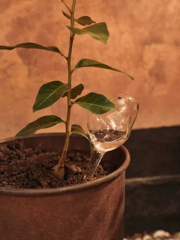 Mercury watering globe 2 parts - Clear, 12x18.5 cm - Ferm Living