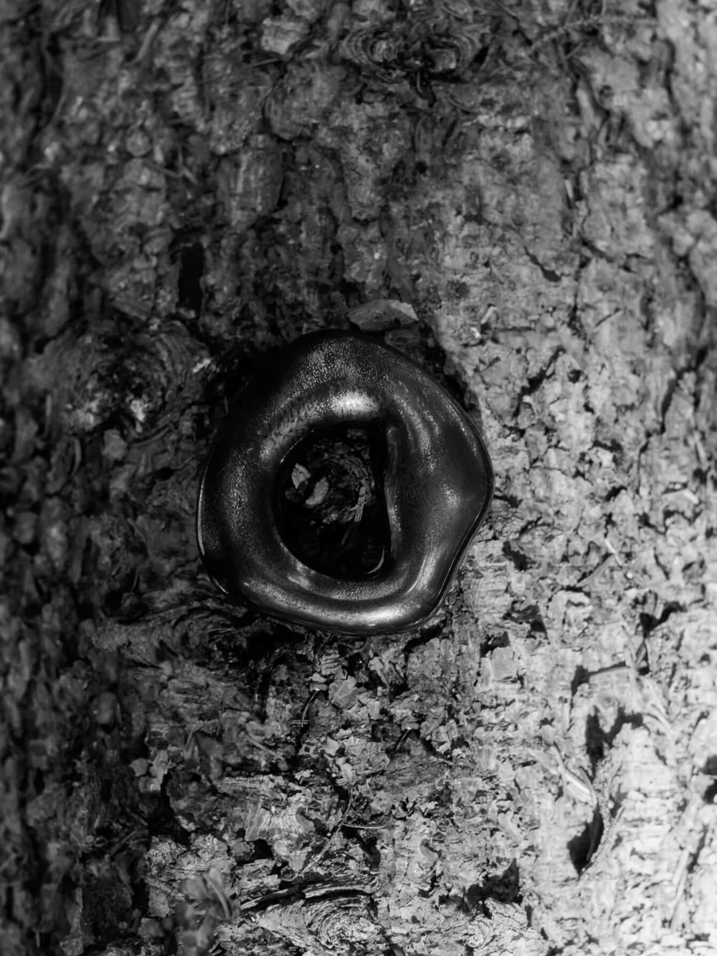 Orrith decorative hanging 2 pieces, Rustic Bronze Ferm Living