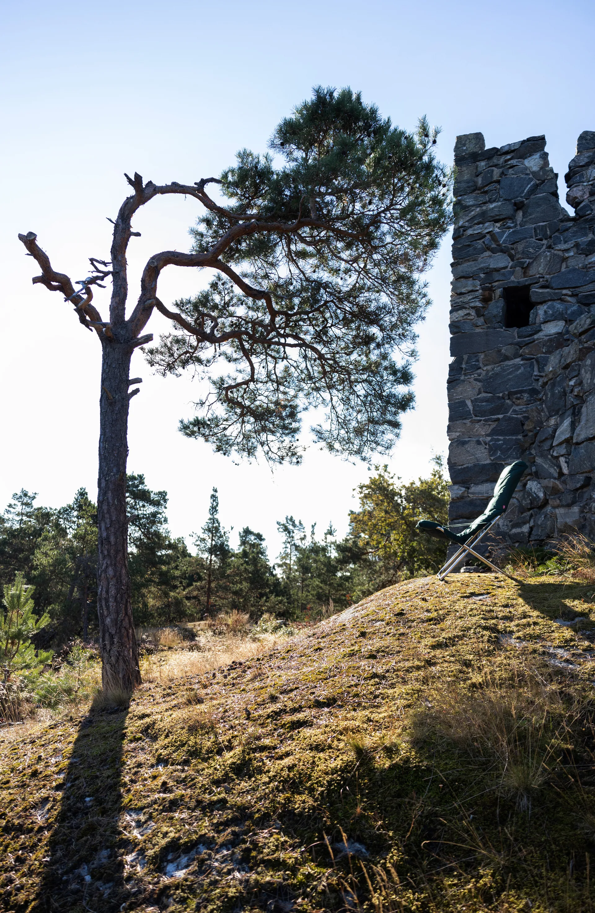 Fiesta Soft sun lounger, Fabric dark green-aluminium frame Fiam