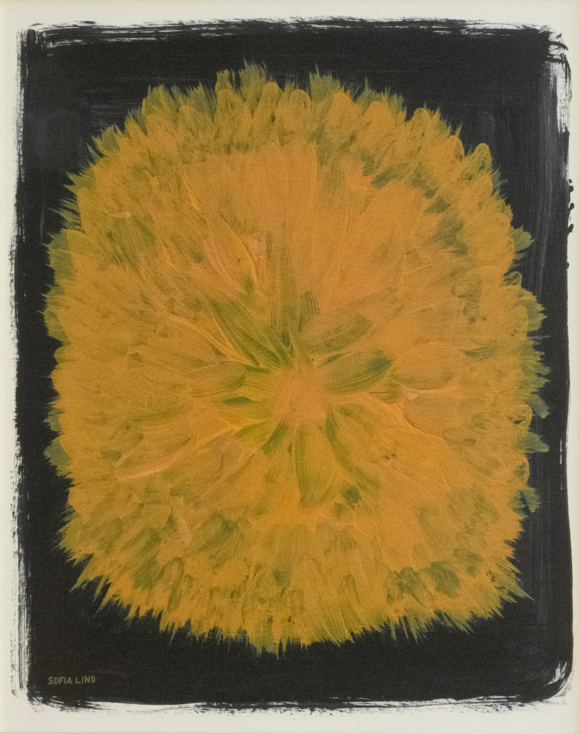 Dandelion poster 40x50 cm, Yellow-black Fine Little Day