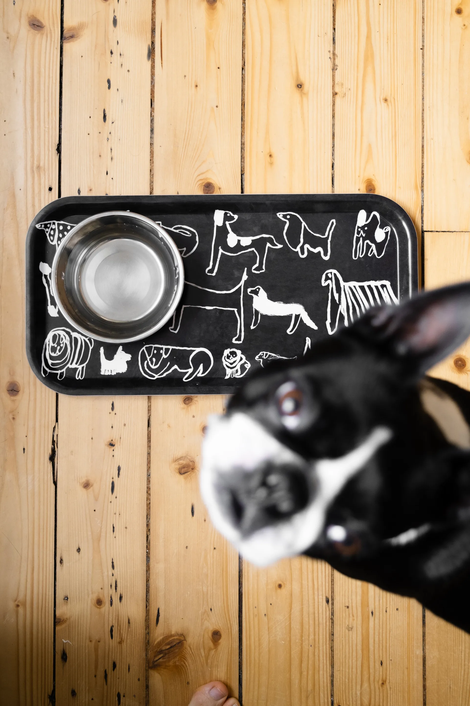 Dogs tray 22x43 cm, Black-white Fine Little Day