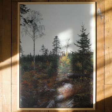 Norrland poster 50x70 cm - grey-white - Fine Little Day