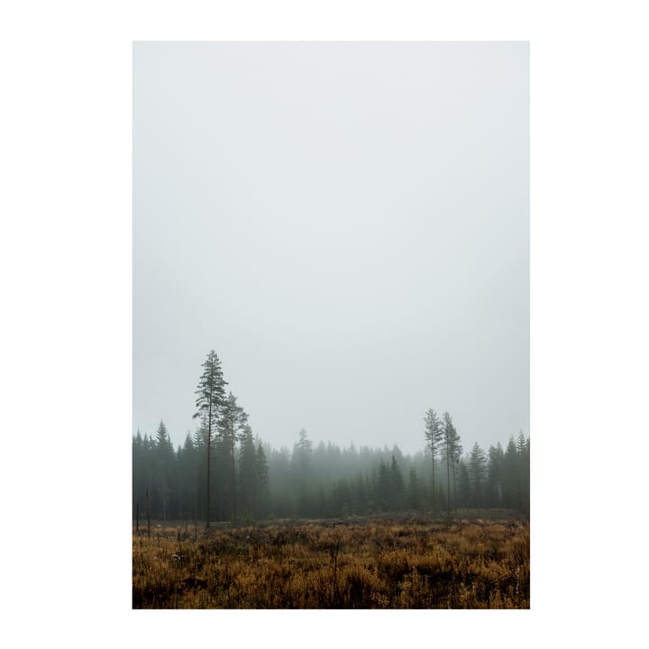 Skog poster - 70x100 cm - Fine Little Day