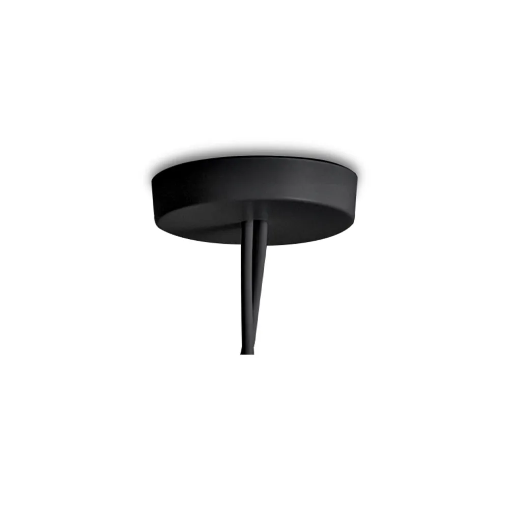 AIM multi-ceiling rose, Black Flos