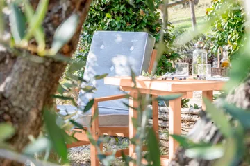 05 armchair - Redwood - Fri Form