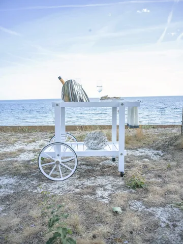 14 serving cart - White - Fri Form