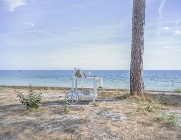 14 serving cart - White - Fri Form