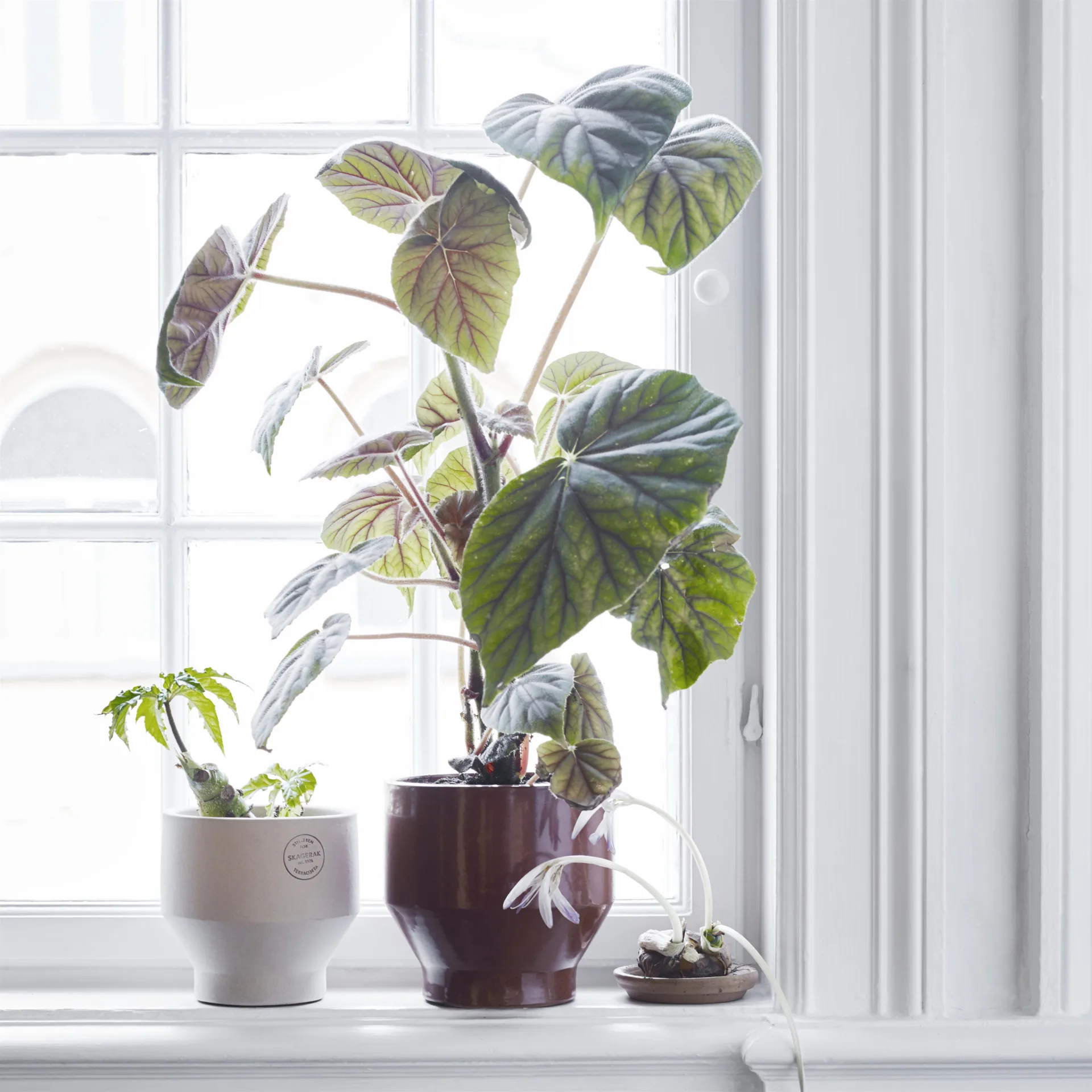 Edge pot (indoor) Ø18 cm, burned red Fritz Hansen