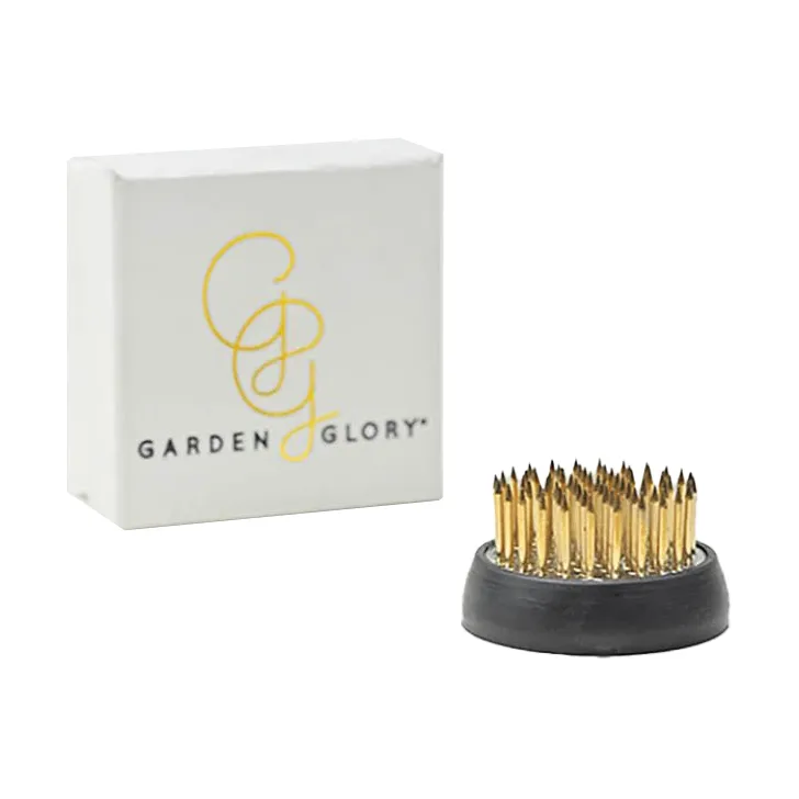 Garden Glory Flower Frog, Small Garden Glory