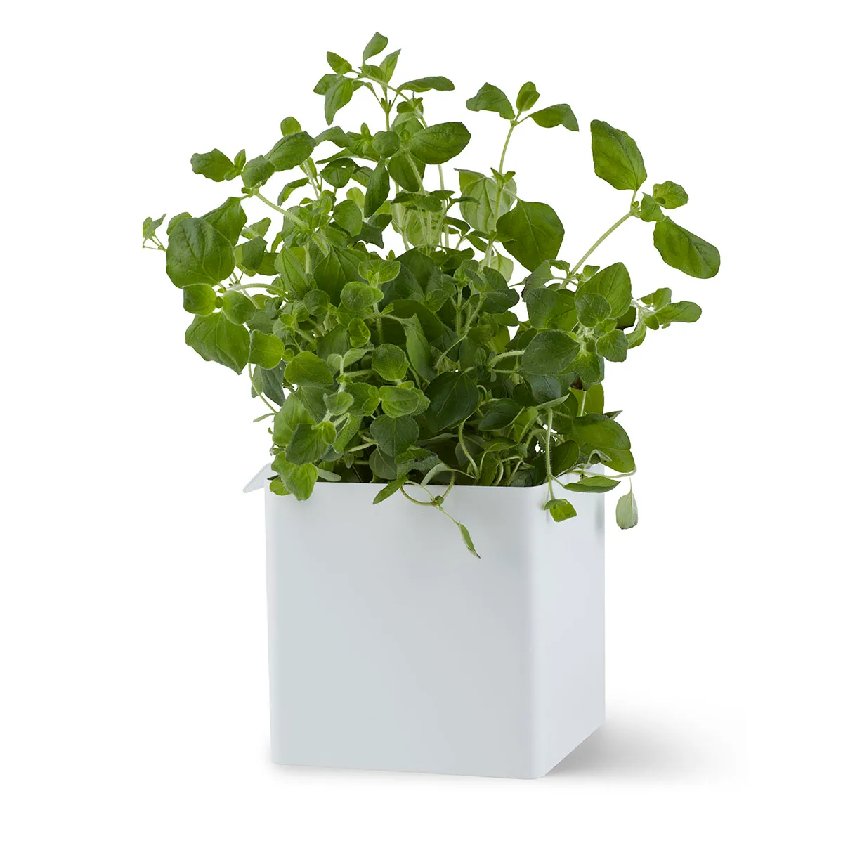 Flex Box small 10.5 cm, white Gejst