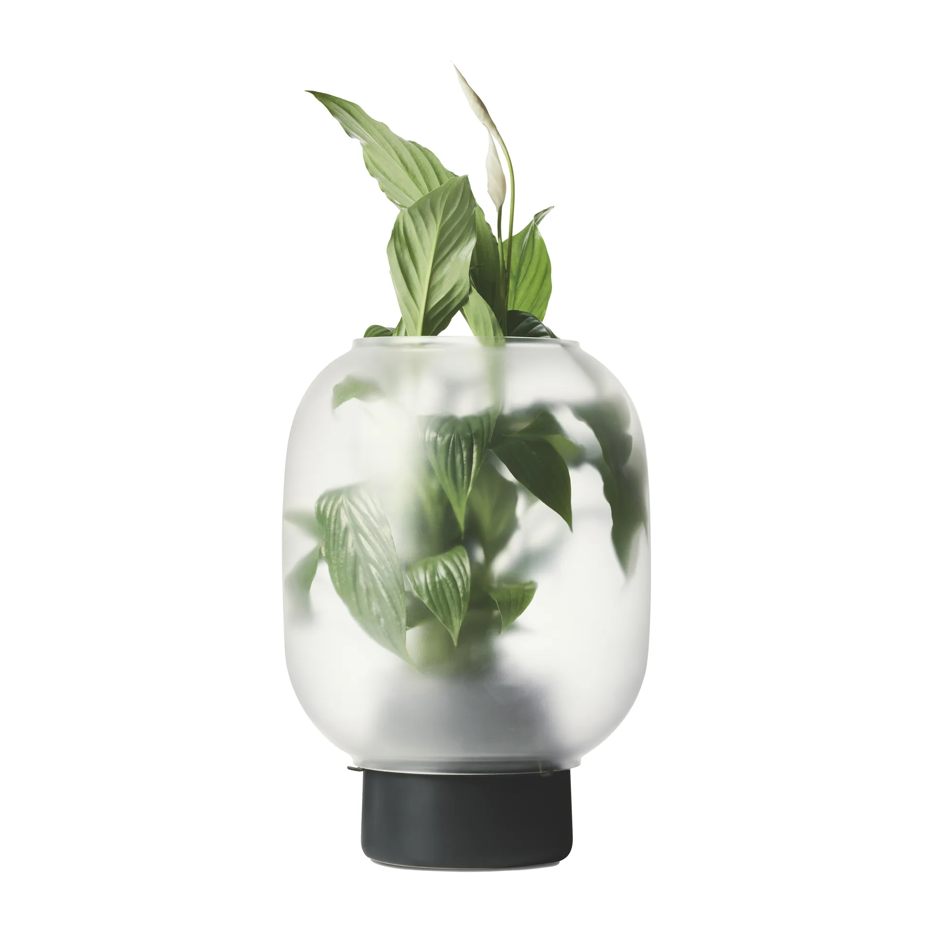Nebl flower pot with frosted glass Ø26 cm, Black Gejst
