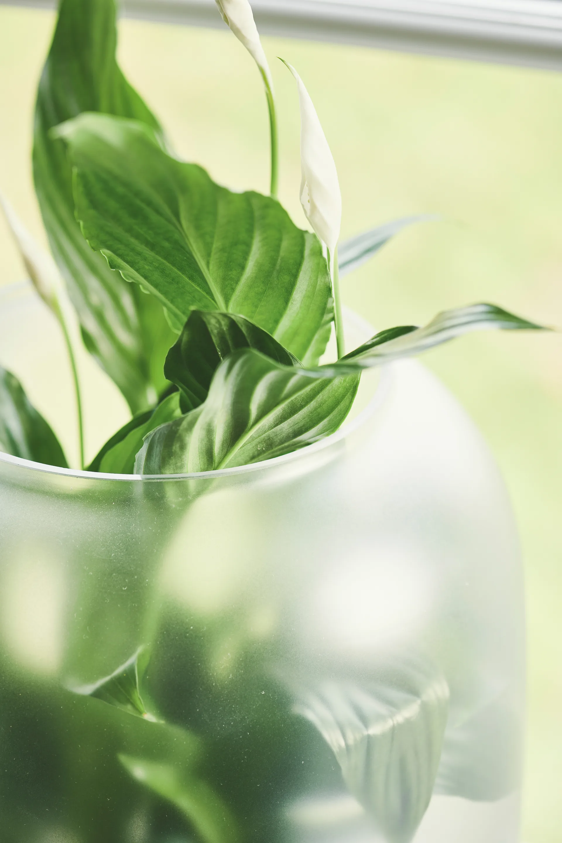 Nebl flower pot with frosted glass Ø26 cm, Black Gejst