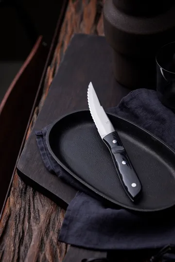 Old Farmer steak knife XL - Micarta - Gense