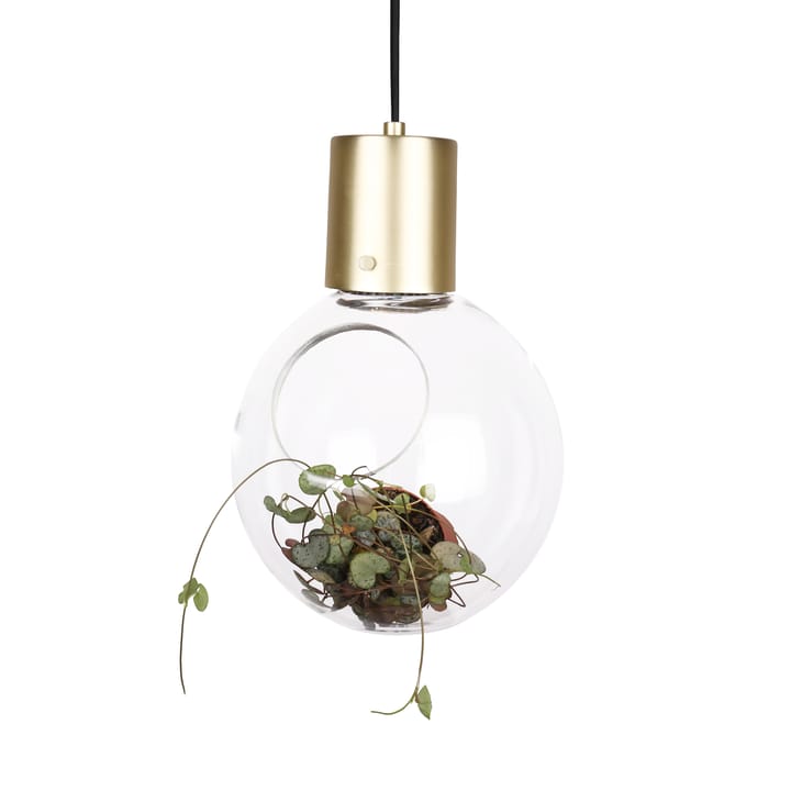 Mini Hole ceiling lamp - clear-brass - Globen Lighting