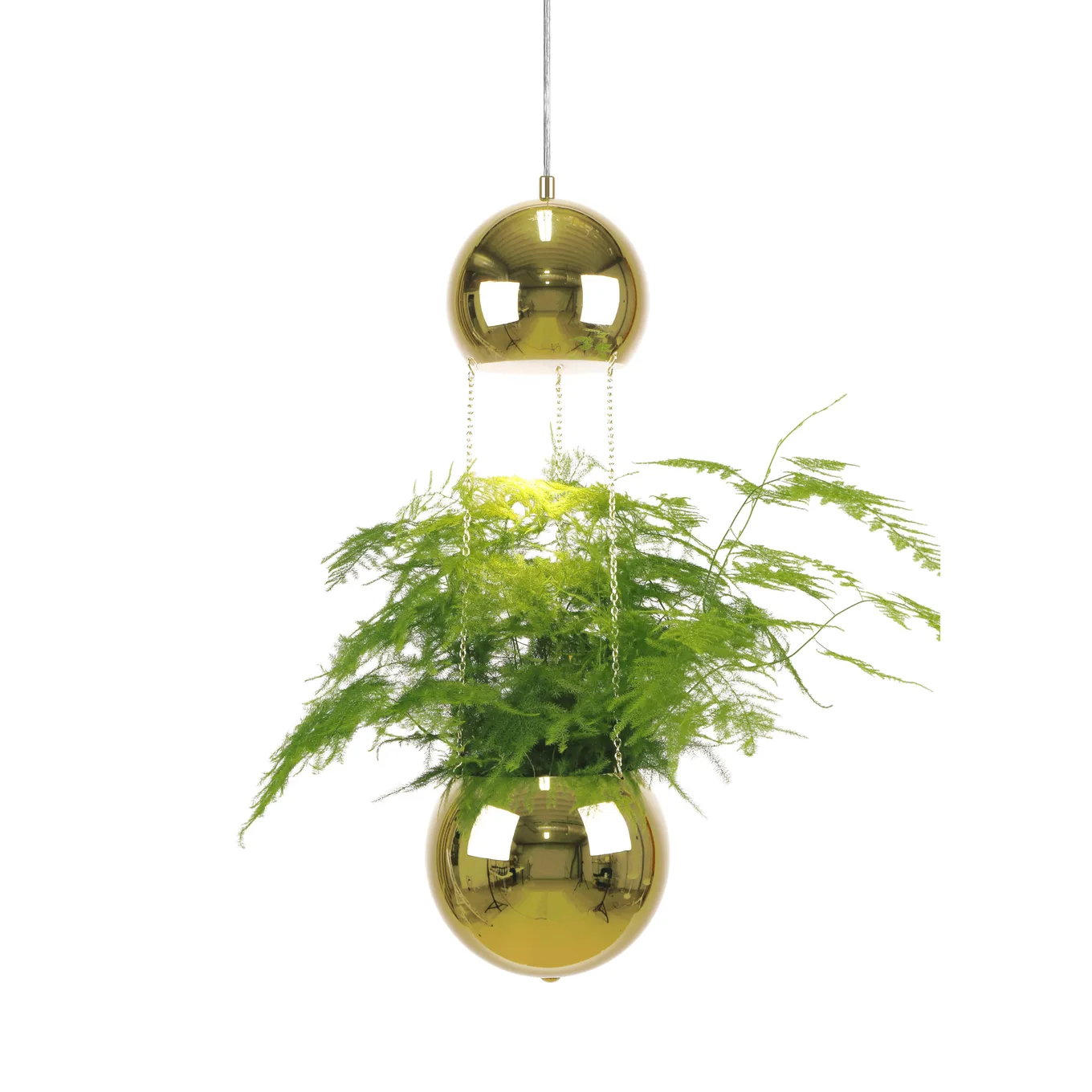 Planter ceiling lamp with flower pot from Globen Lighting