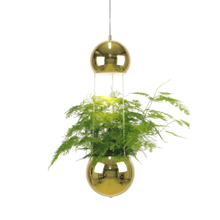 Planter ceiling lamp with flower pot - brass - Globen Lighting