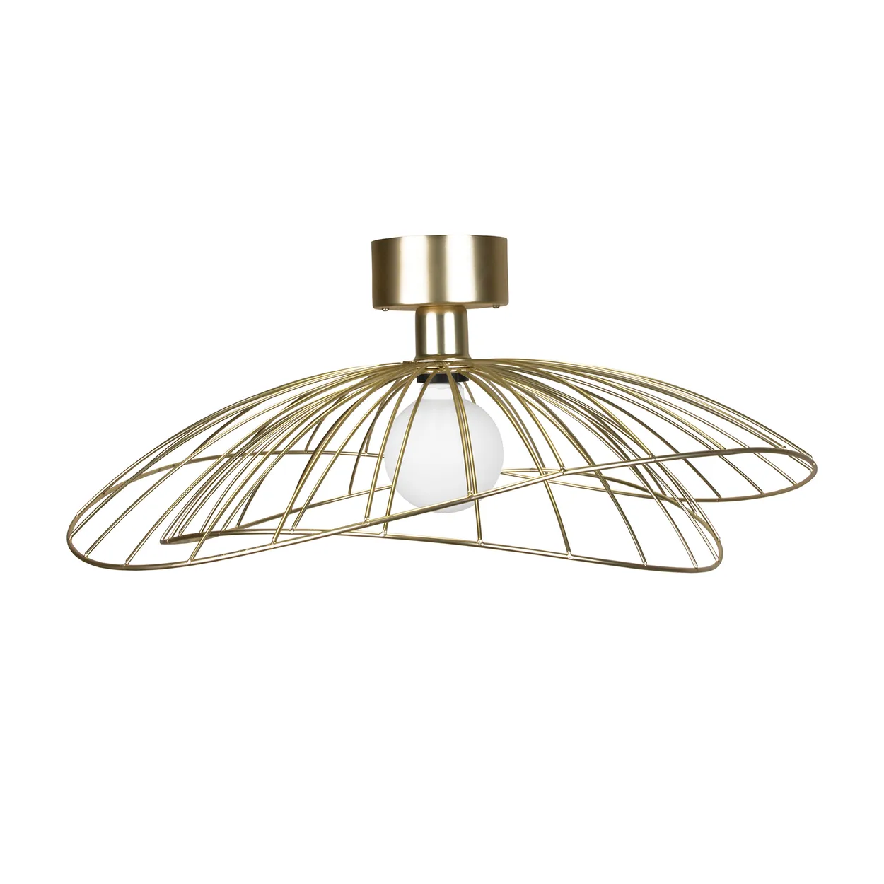 Globen Lighting Ray ceiling light brushed brass | Scandinavian Design | Ceiling lights | Gold-coloured