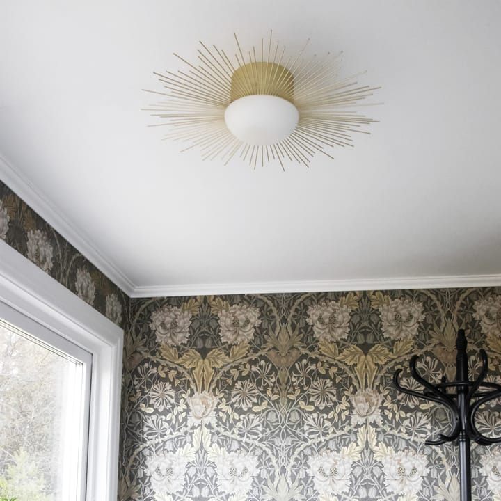 Soleil ceiling lamp/wall lamp Ø56 cm - brushed brass - Globen Lighting