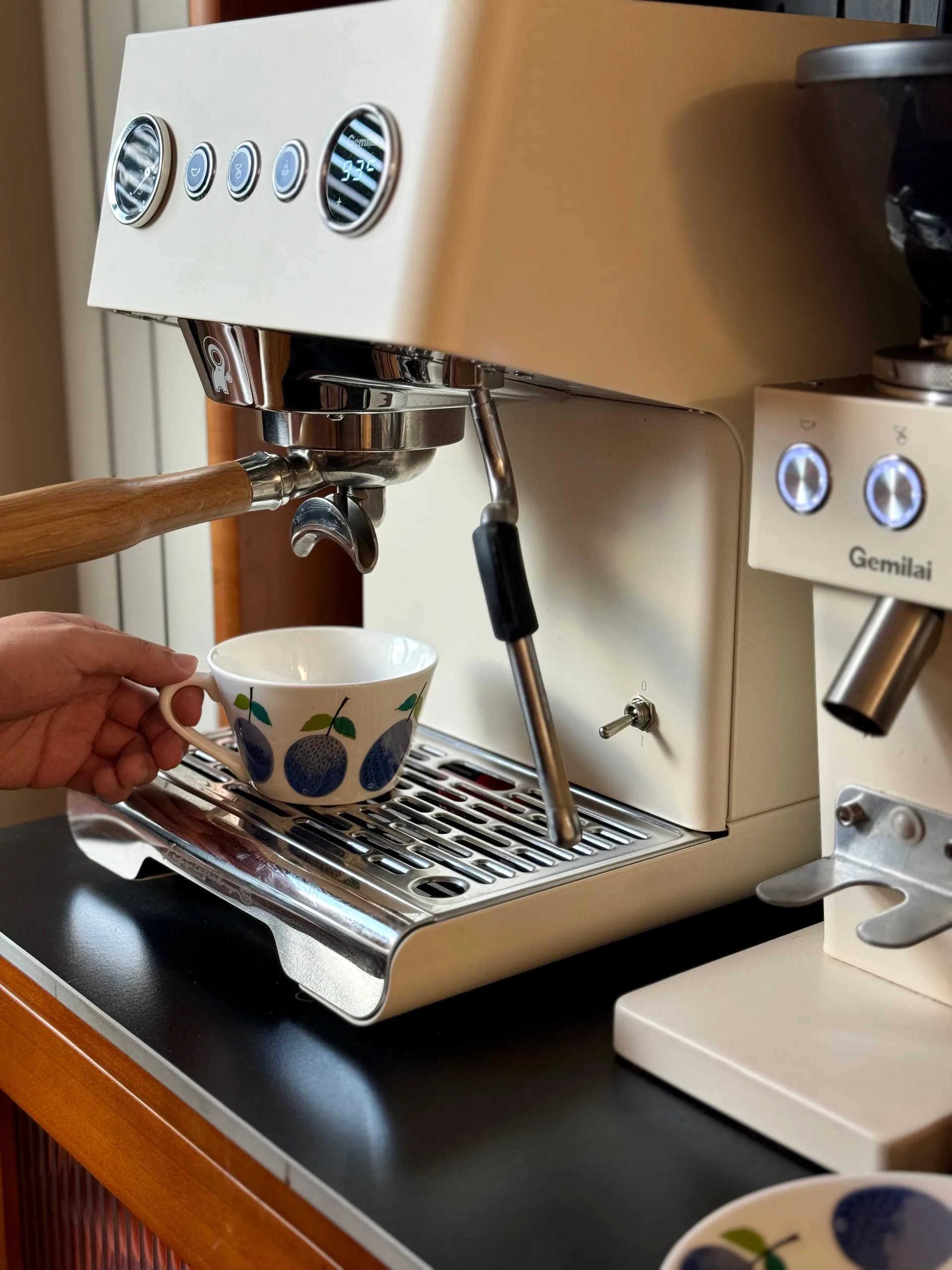 Prunus teacup with saucer Ø15,3 cm, 25 cl Gustavsbergs Porslinsfabrik
