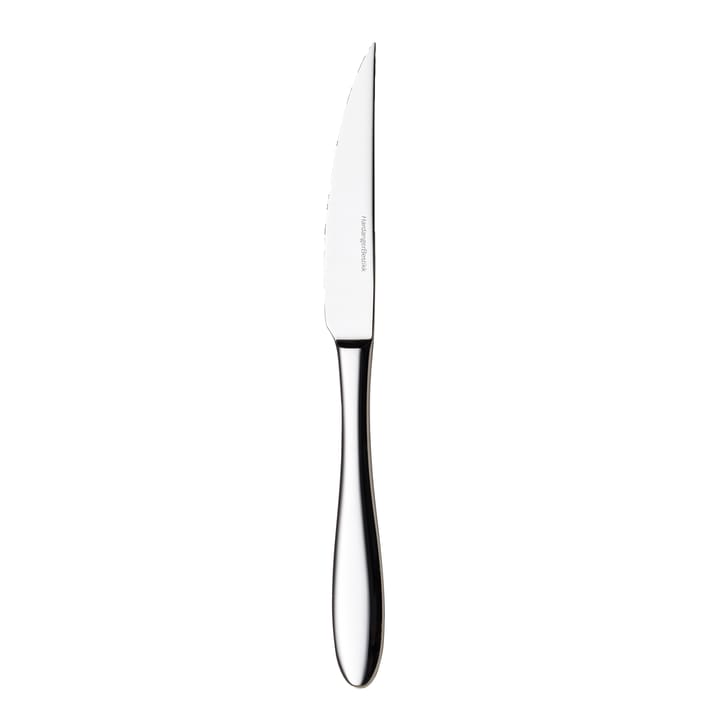 Fjord steak knife, Stainless steel Hardanger Bestikk