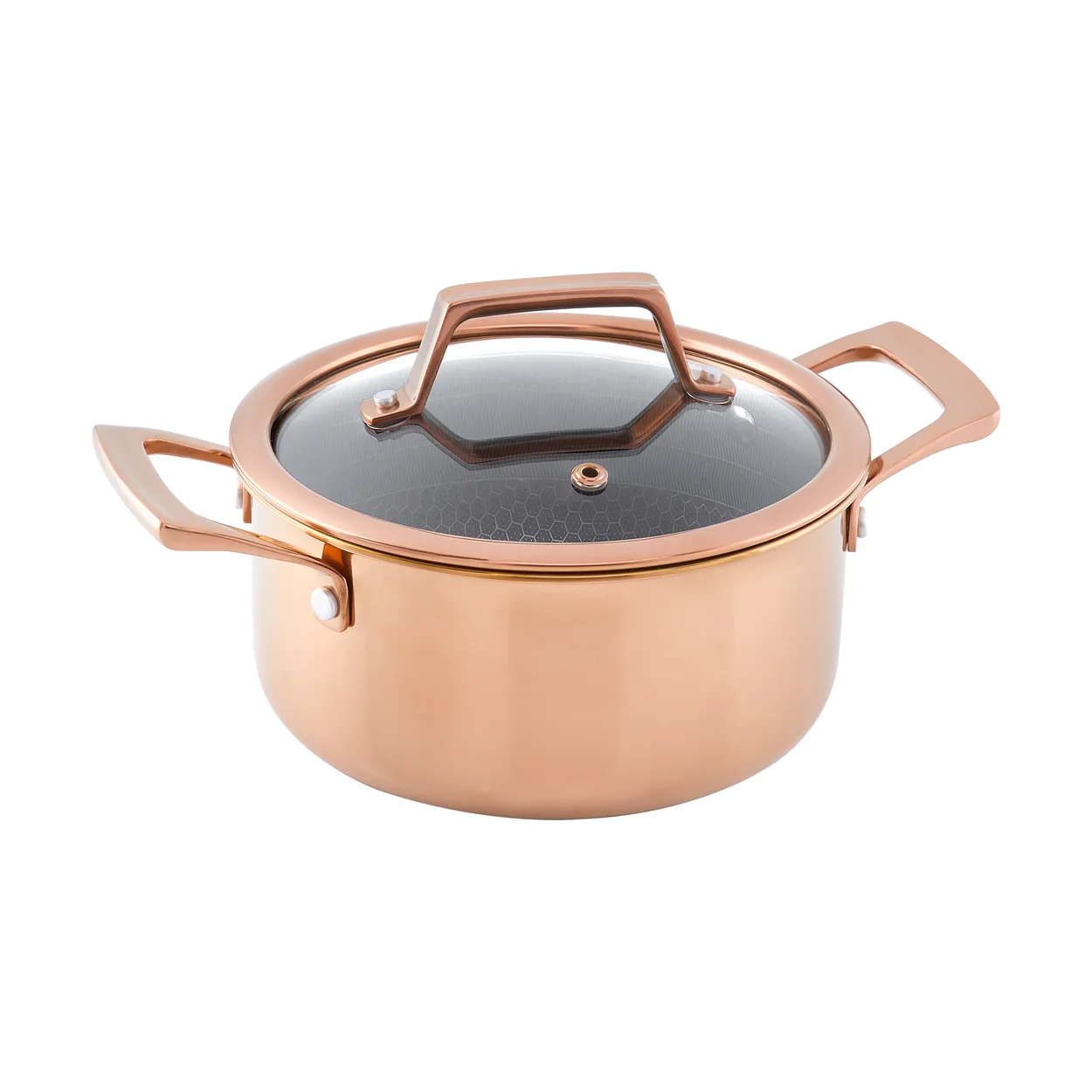 Hâws Santo casserole with lid hybrid coating 2.2 L Rose Gold