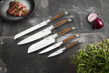 Laguiole By Hâws knife set 5-piece - Olive - Hâws