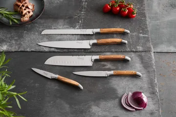 Laguiole By Hâws knife set 5-piece - Olive - Hâws