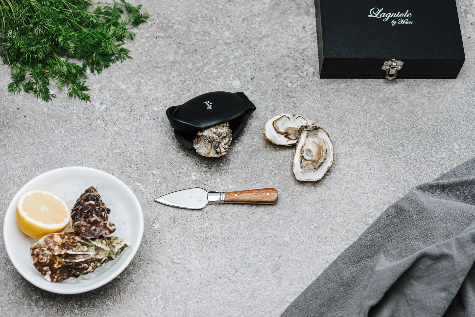 Laguiole by Hâws oyster set 2-piece, Olive wood-stainless steel Hâws