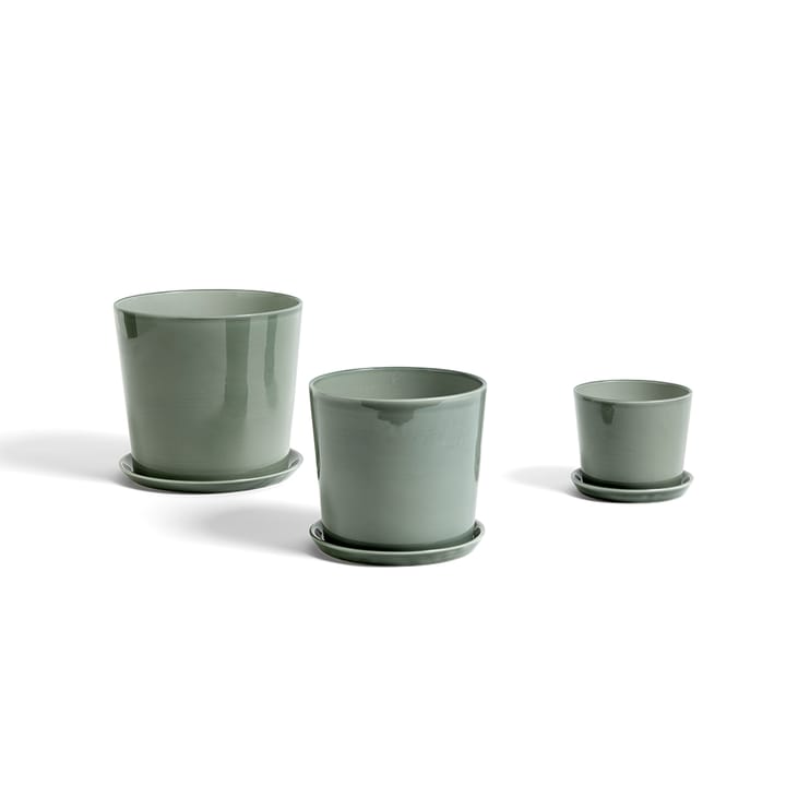 Botanical Family flower pot, Dusty green, medium, with saucer Ø13.5 cm HAY
