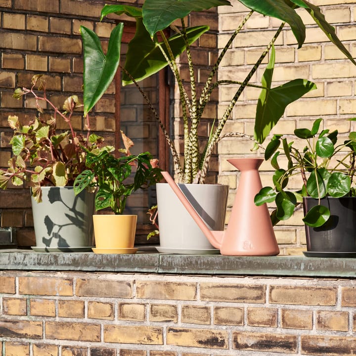 Botanical Family flower pot L Ø18 cm, anthracite HAY