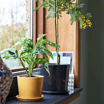 Botanical Family flower pot L Ø18 cm - warm yellow - HAY