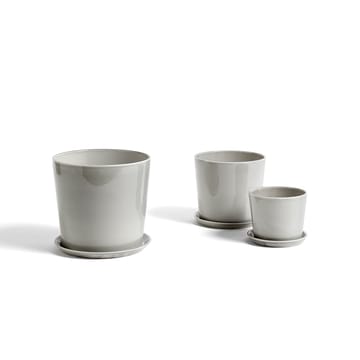 Botanical Family flower pot - Light grey, medium, with saucer Ø13.5 cm - HAY