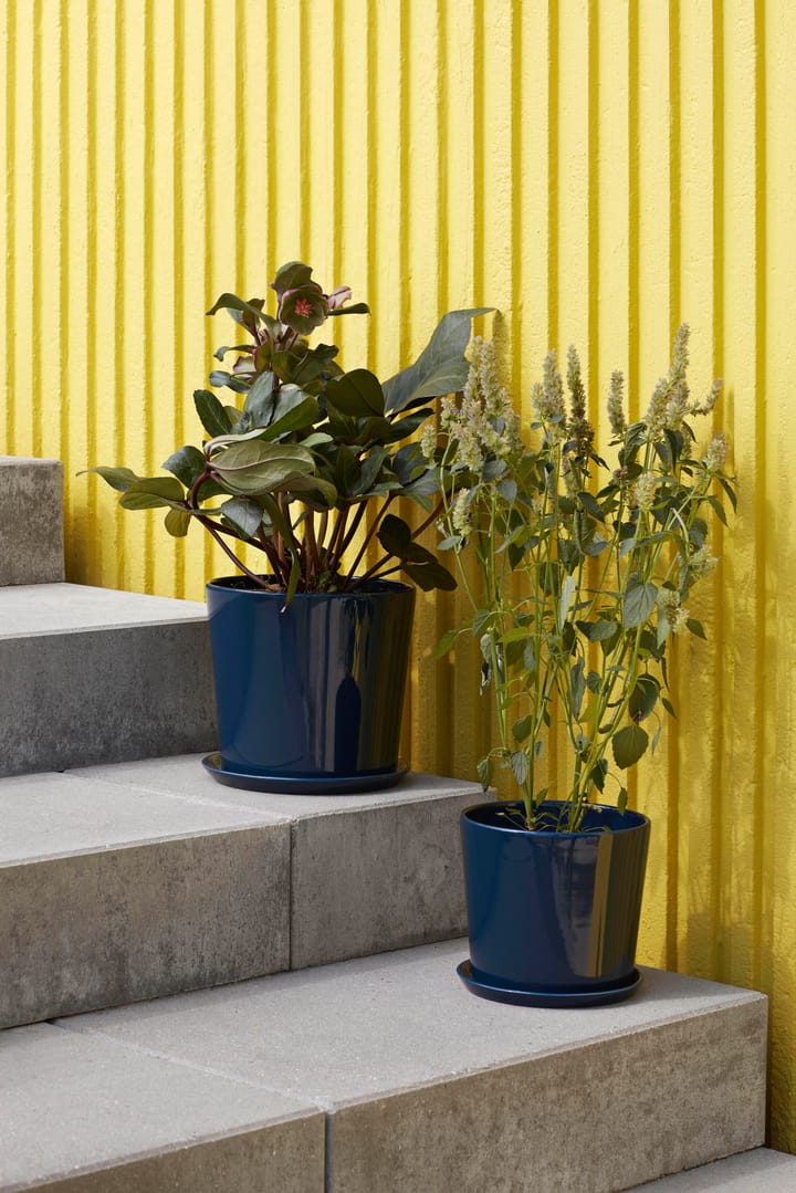 Botanical Family flower pot XL Ø22 cm, Dark blue HAY