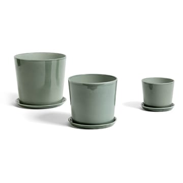 Botanical Family saucer to flower pot L - dusty green - HAY