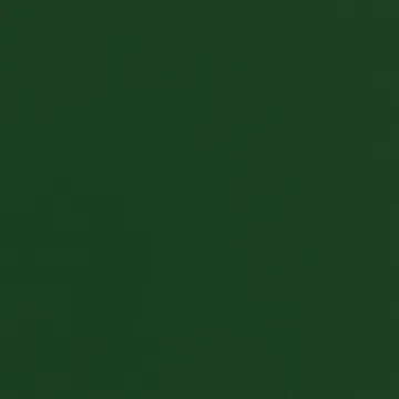 Chisel lounge chair - Lush green lacquered beech - HAY