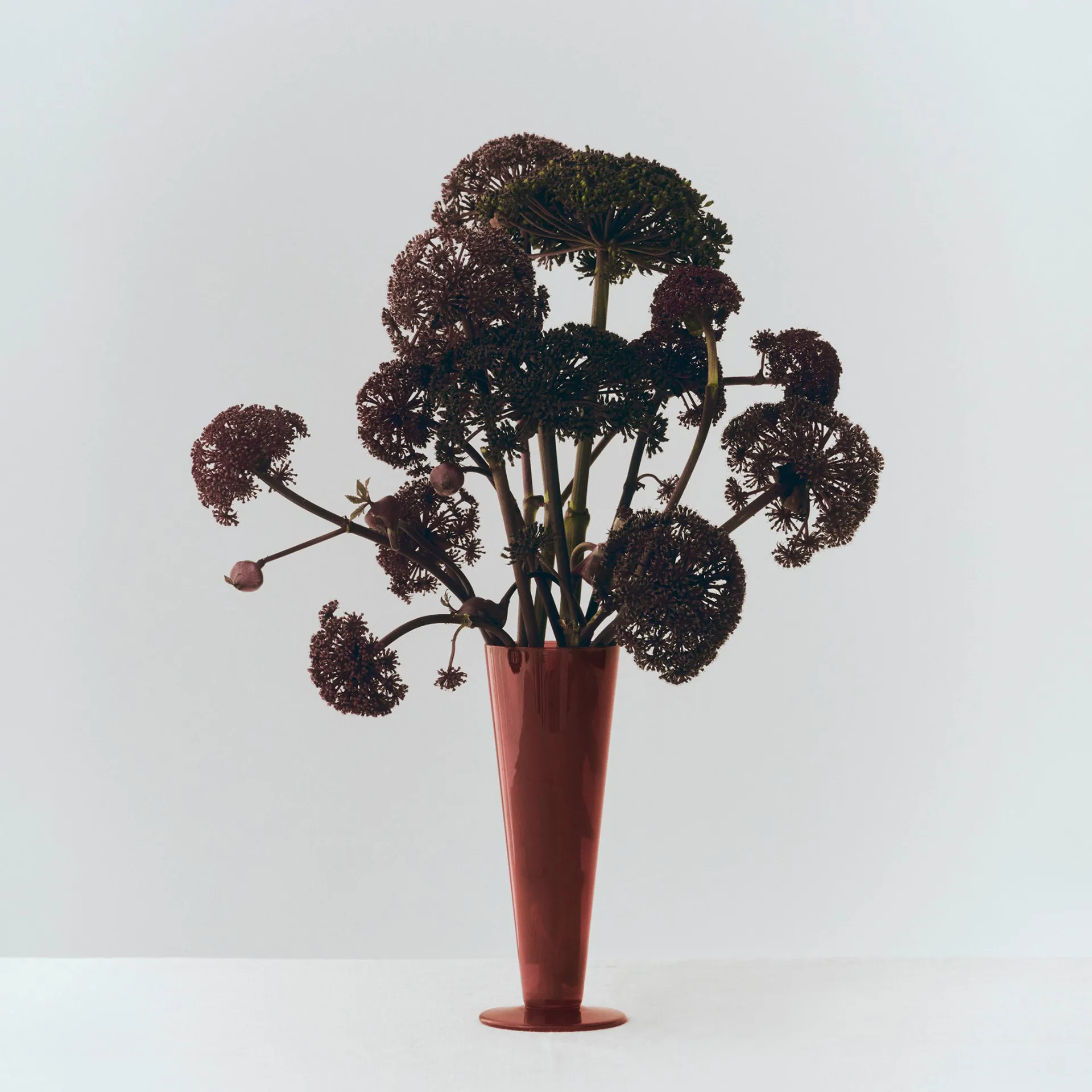 Conical vase, Rose-dark red, medium HAY