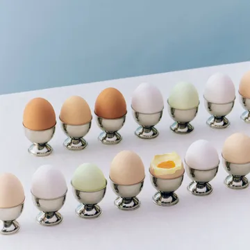 Essential Steel egg cup - Stainless steel, 4.5xØ4.5 cm - HAY