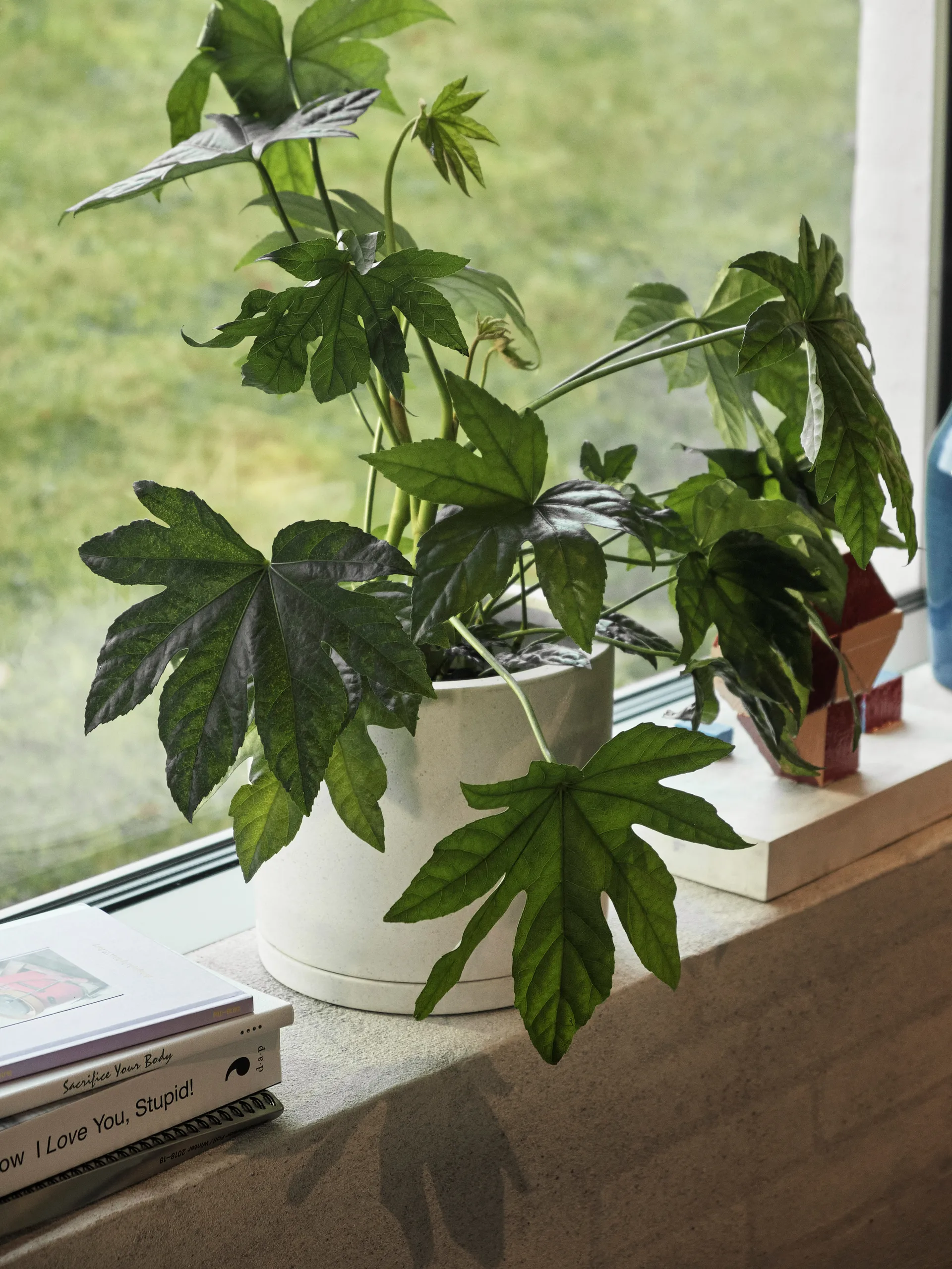 HAY Plant Pot with saucer flower pot L Ø19 cm, White HAY