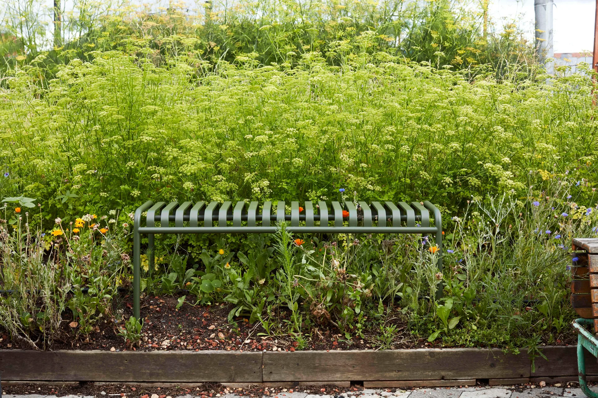 Palissade bench 120x42 cm, Olive HAY