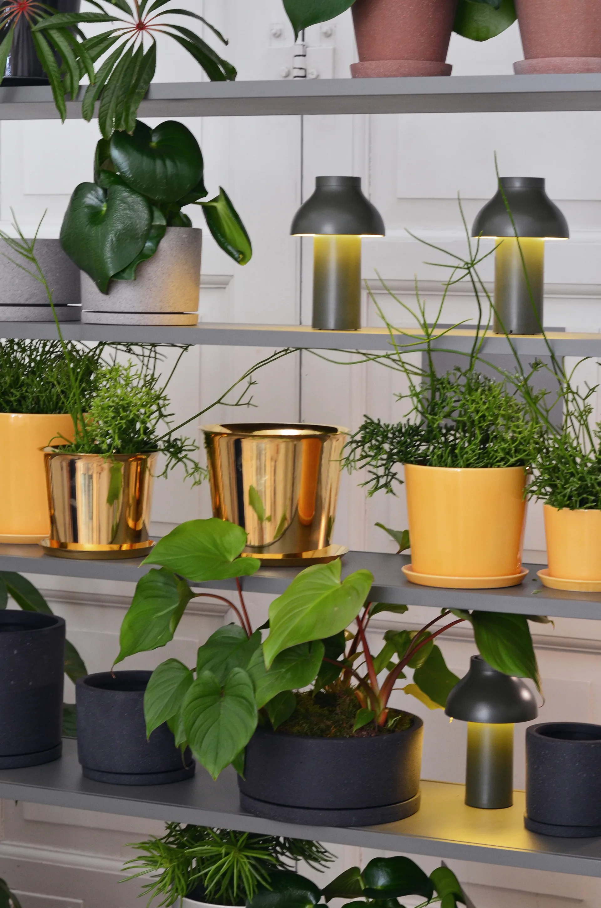 PC Portable table lamp, Olive HAY