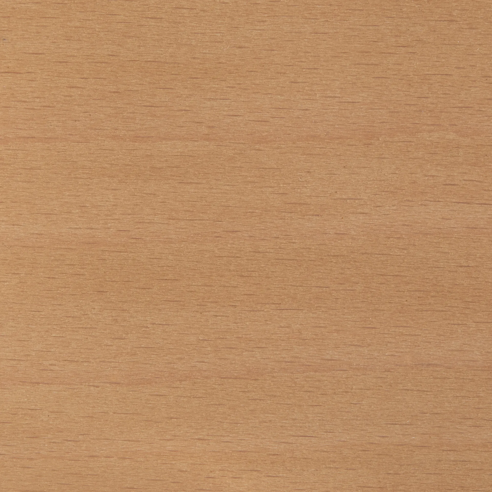 Rey bar stool low 65 cm, Golden HAY