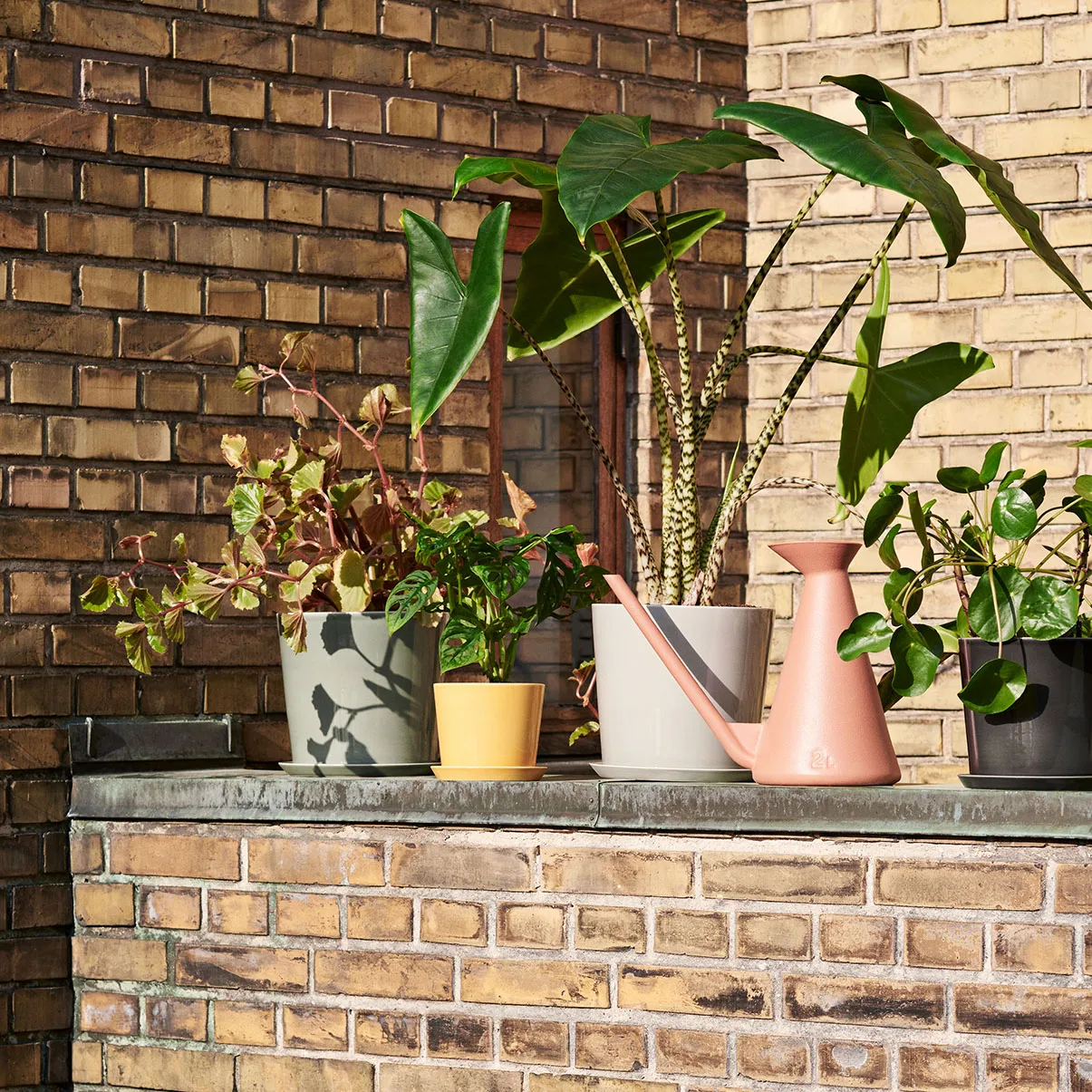 Watering Can 2 l from HAY - NordicNest.com