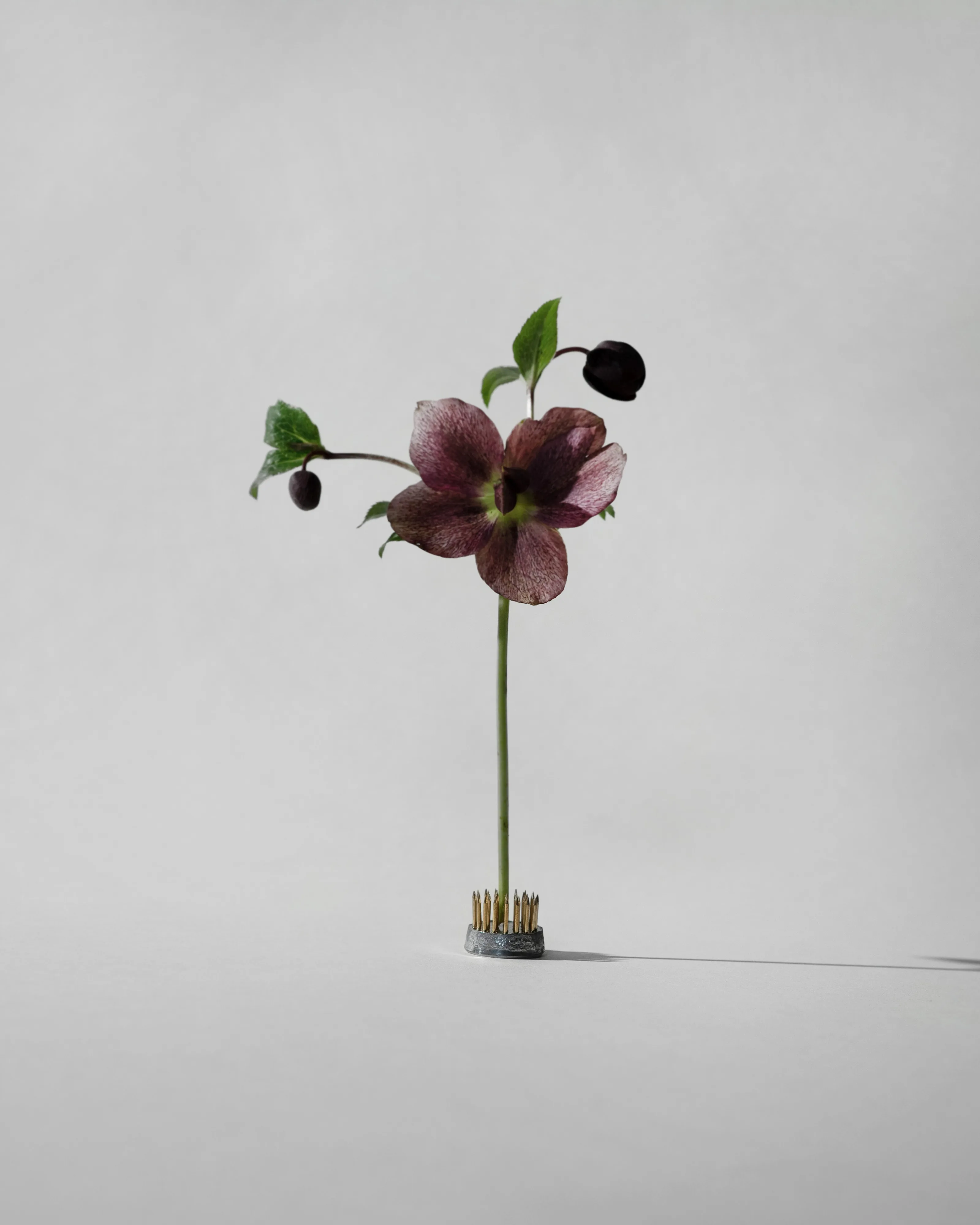 Kenzan vase from Hein Studio - NordicNest.com