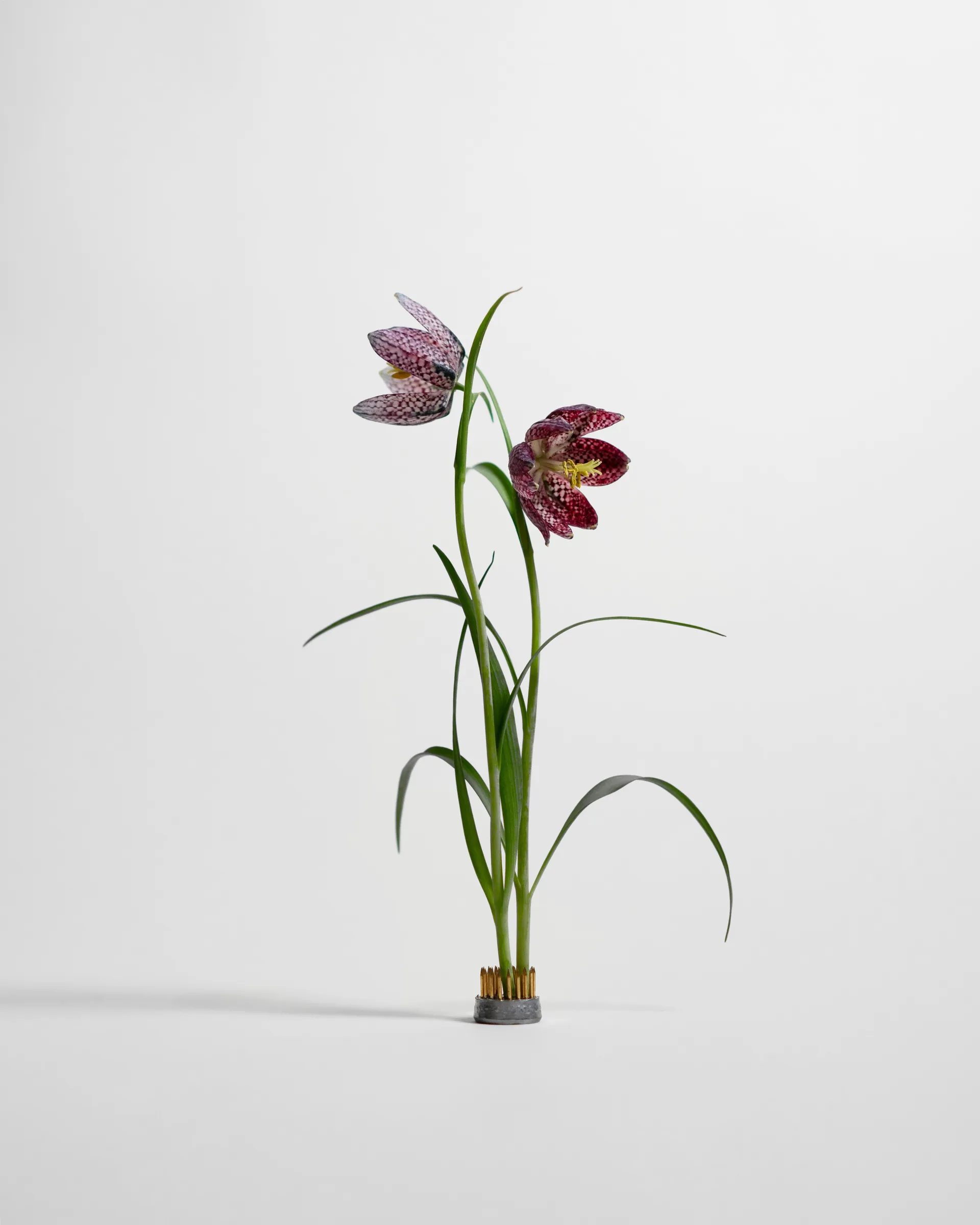 Kenzan vase, Ø2.3 cm Hein Studio