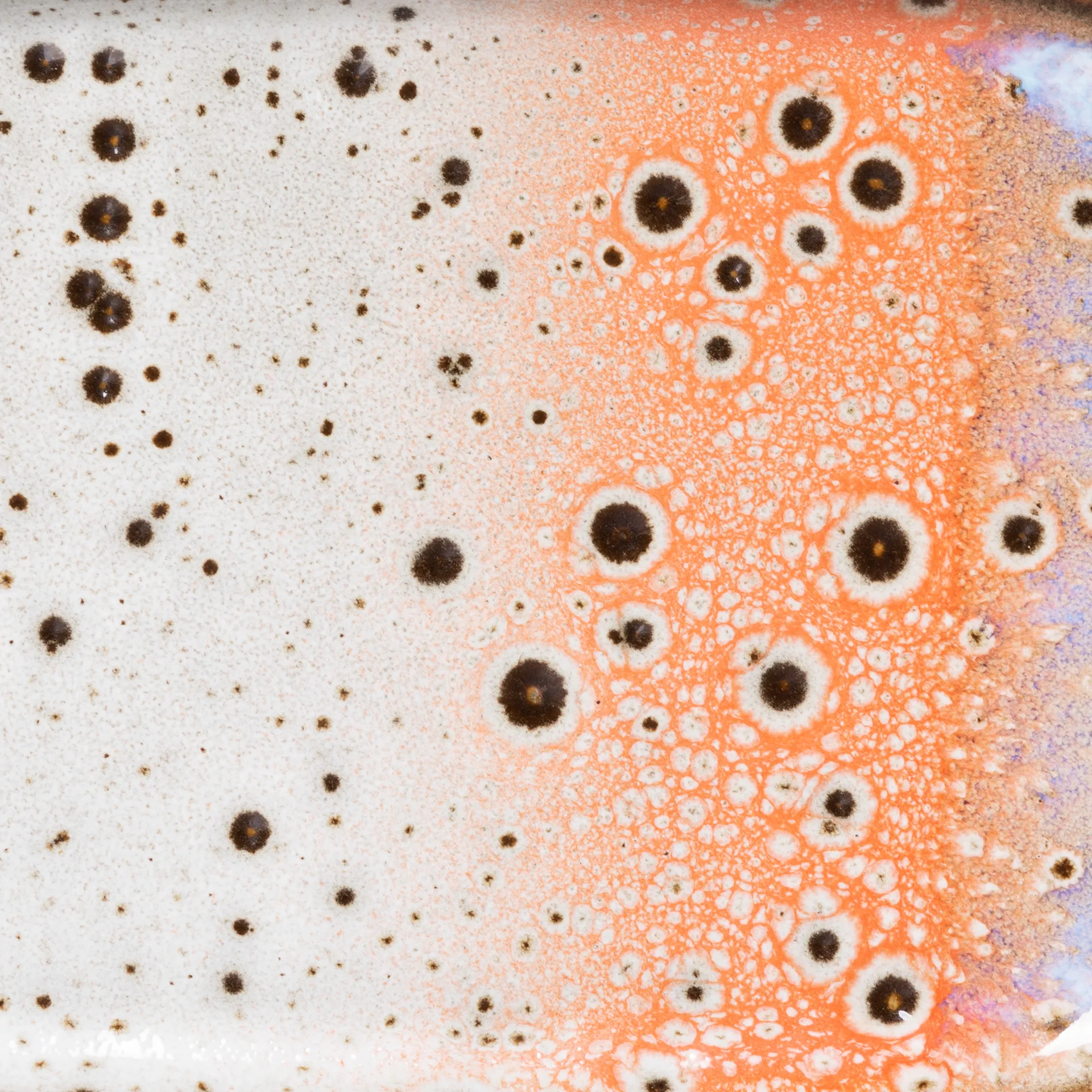 70's tray small 2-pack, Asteroids / Grass HKliving