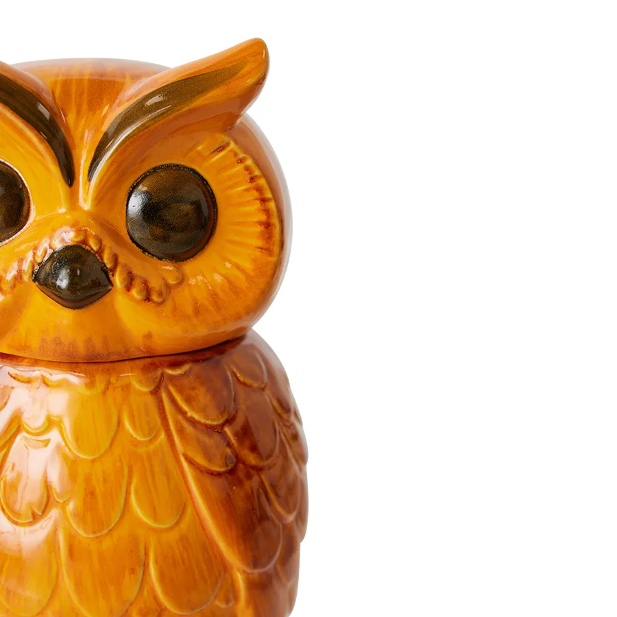 Ceramic owl storage jar, Tangerine HKliving
