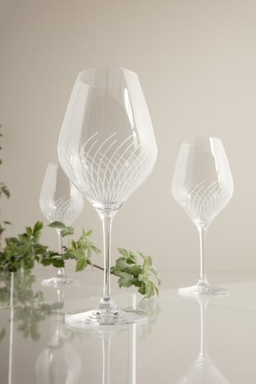 Cabernet Lines white wine glass 36 cl 2-pack - Clear - Holmegaard