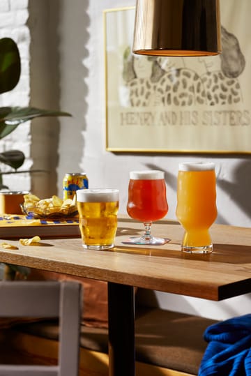 Mikkeller IPA beer glasses 2-pack - 50 cl - Holmegaard