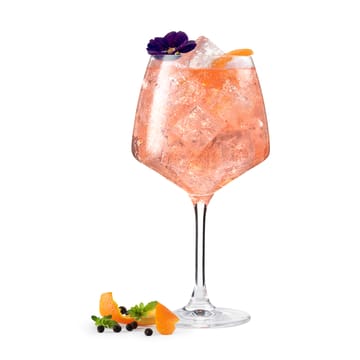 Perfection gin glass 90 cl 2-pack  - Clear - Holmegaard