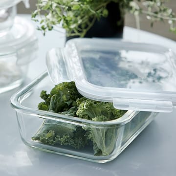 Glass lunch box 2-pack - clear glass - House Doctor
